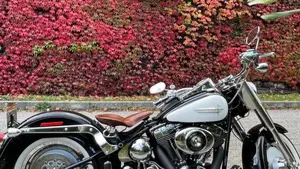 Harley-Davidson 1550 Fat Boy 15th Anniversary (2005) - FLSTFIAE 