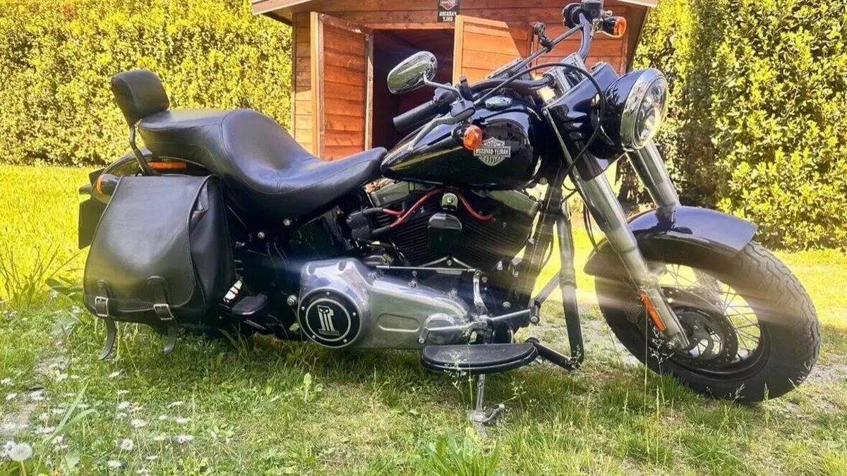 Harley-Davidson 1690 Slim (2017) - FLS  (2)