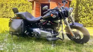 Harley-Davidson 1690 Slim (2017) - FLS  (2)