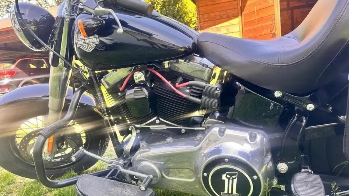 Harley-Davidson 1690 Slim (2017) - FLS  (3)