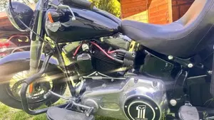 Harley-Davidson 1690 Slim (2017) - FLS  (3)