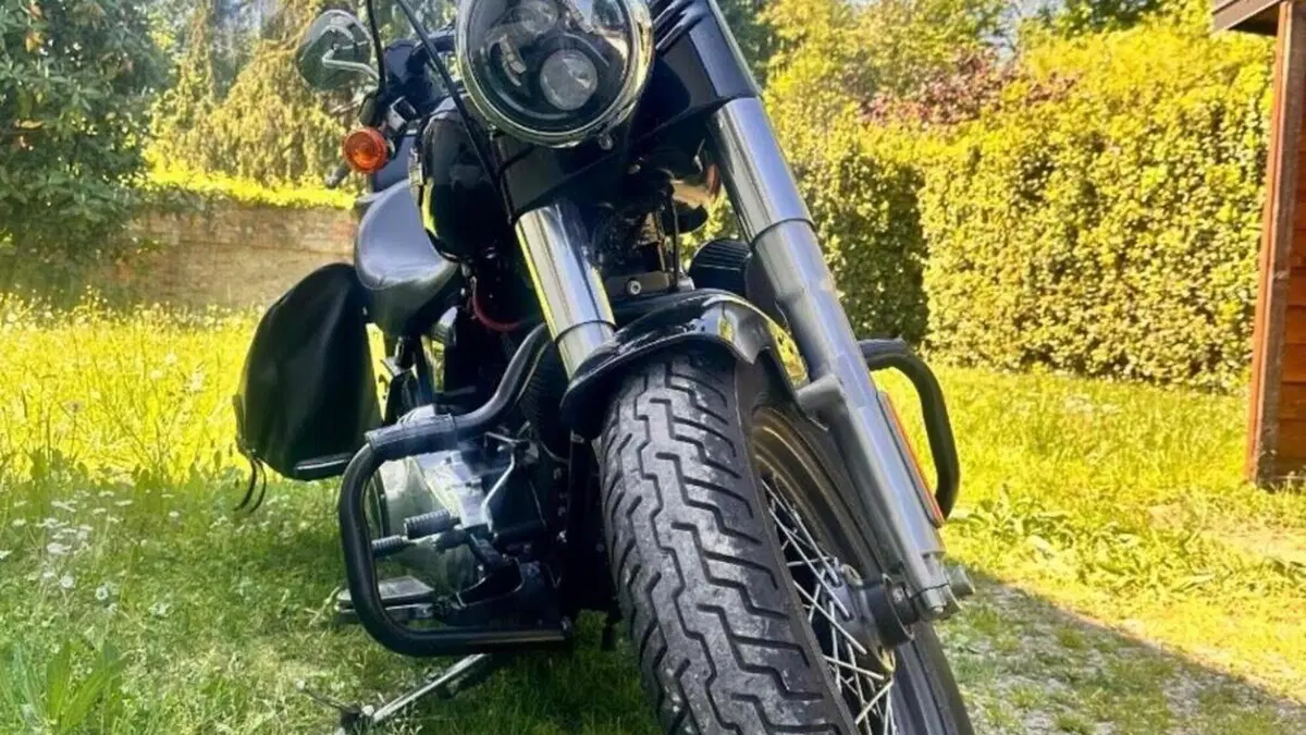 Harley-Davidson 1690 Slim (2017) - FLS  (4)