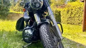 Harley-Davidson 1690 Slim (2017) - FLS  (4)