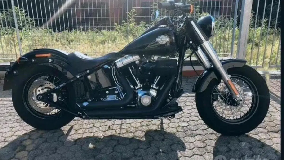 Harley-Davidson 1690 Slim (2017) - FLS  (5)