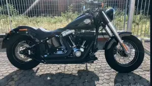 Harley-Davidson 1690 Slim (2017) - FLS  (5)
