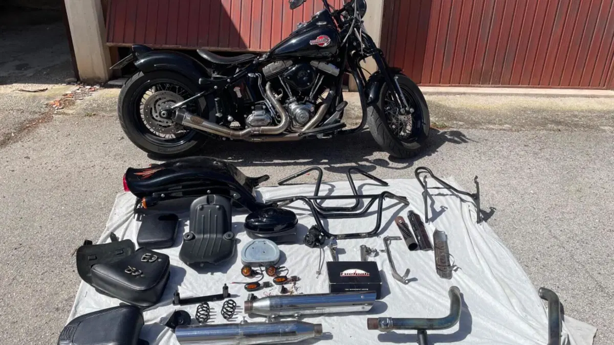 Harley-Davidson 1584 Cross Bones (2008 - 11) - FLSTSB  (2)