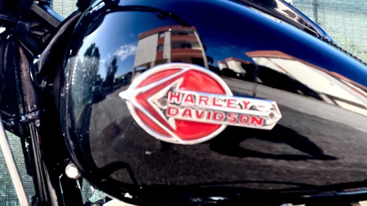 Harley-Davidson 1584 Cross Bones (2008 - 11) - FLSTSB  (5)