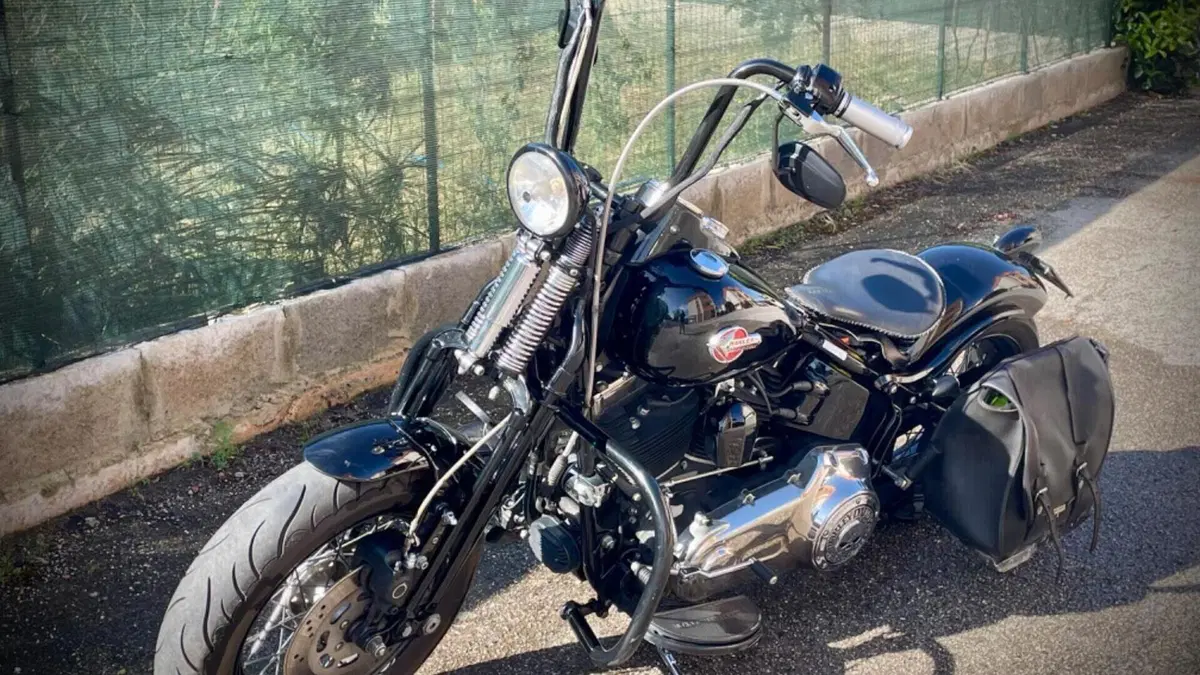 Harley-Davidson 1584 Cross Bones (2008 - 11) - FLSTSB  (6)