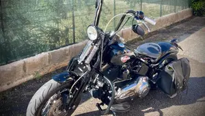 Harley-Davidson 1584 Cross Bones (2008 - 11) - FLSTSB  (6)