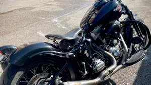 Harley-Davidson 1584 Cross Bones (2008 - 11) - FLSTSB  (8)