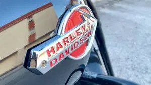 Harley-Davidson 1584 Cross Bones (2008 - 11) - FLSTSB  (10)