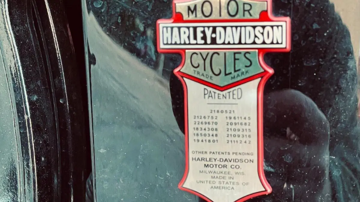 Harley-Davidson 1584 Cross Bones (2008 - 11) - FLSTSB  (11)