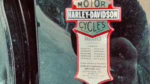 Harley-Davidson 1584 Cross Bones (2008 - 11) - FLSTSB  (11)