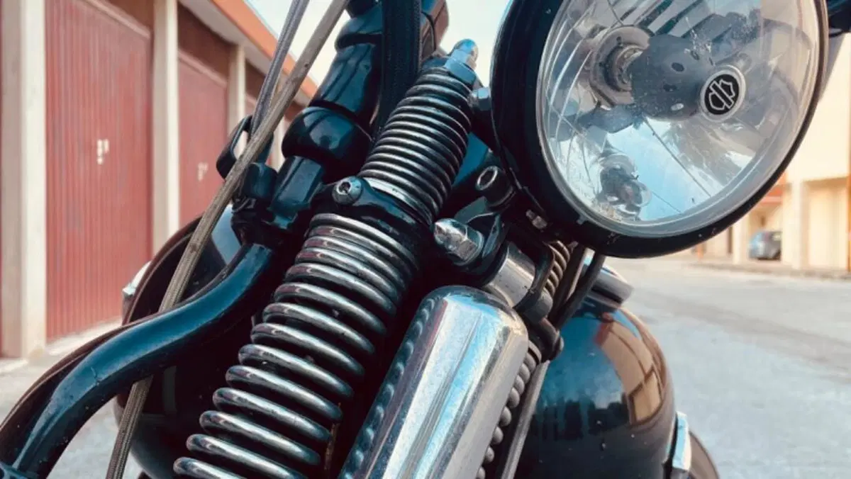 Harley-Davidson 1584 Cross Bones (2008 - 11) - FLSTSB  (13)