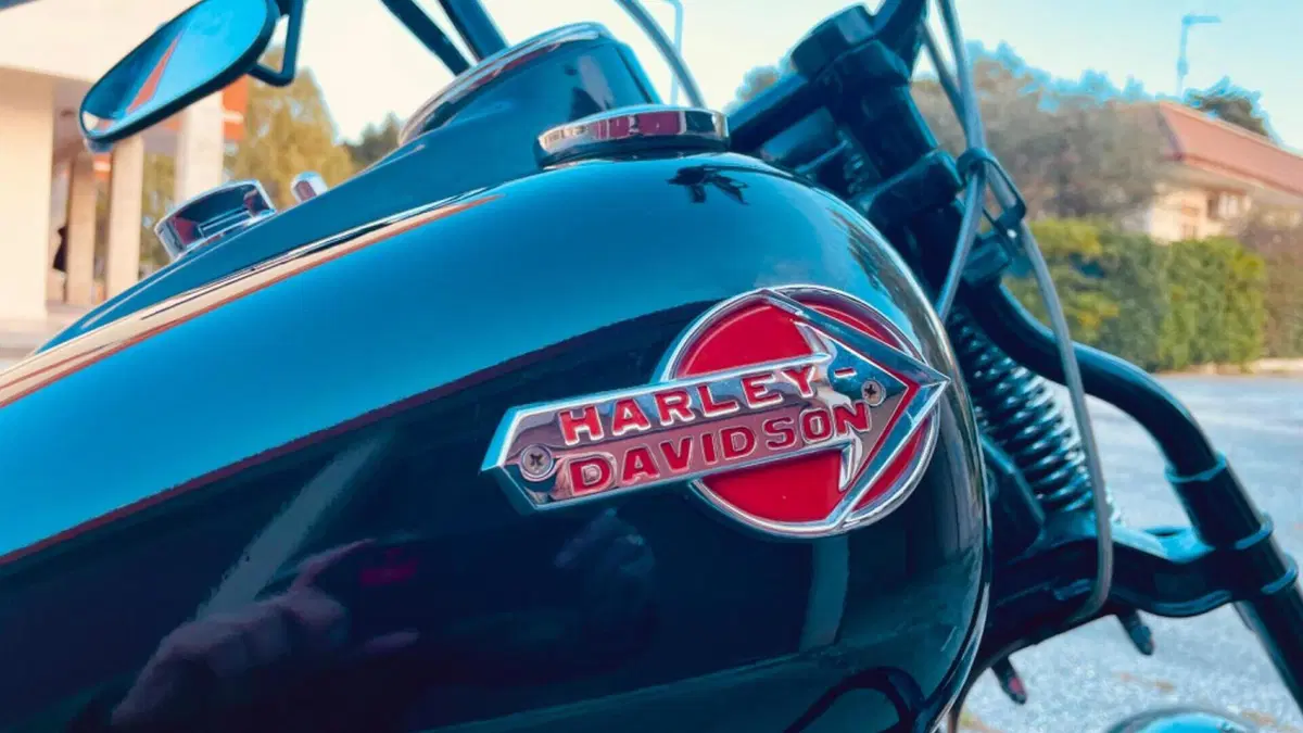 Harley-Davidson 1584 Cross Bones (2008 - 11) - FLSTSB  (14)