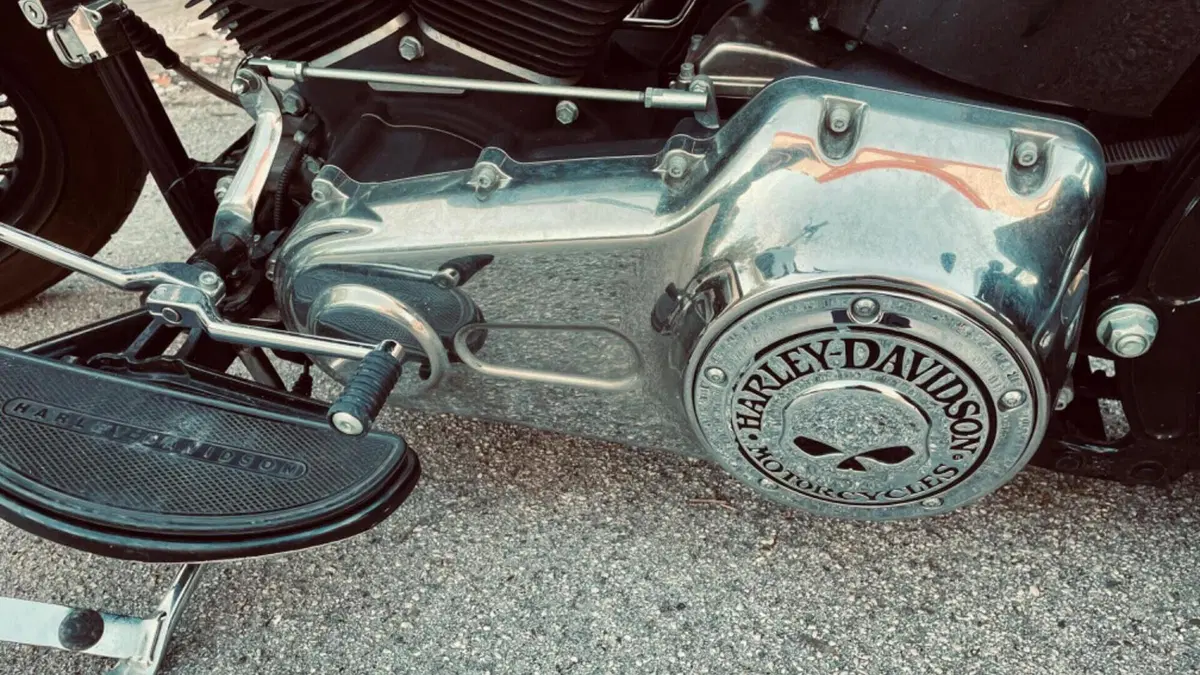 Harley-Davidson 1584 Cross Bones (2008 - 11) - FLSTSB  (16)