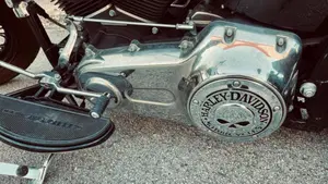 Harley-Davidson 1584 Cross Bones (2008 - 11) - FLSTSB  (16)