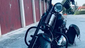 Harley-Davidson 1584 Cross Bones (2008 - 11) - FLSTSB  (17)