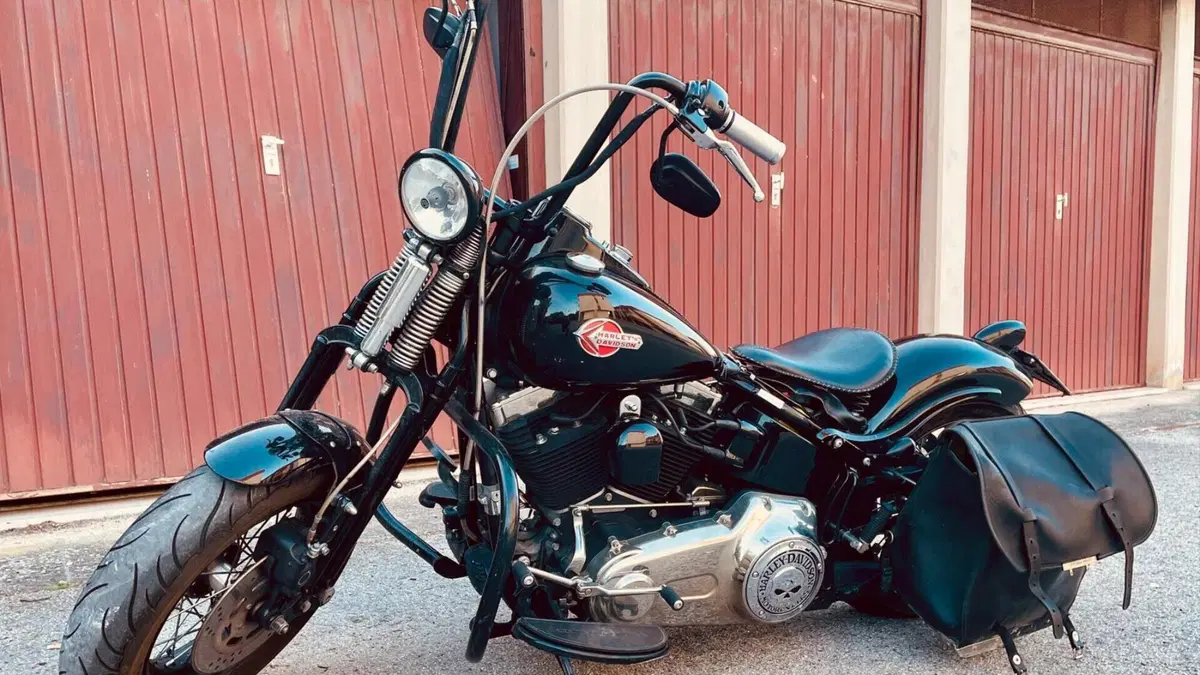 Harley-Davidson 1584 Cross Bones (2008 - 11) - FLSTSB  (18)