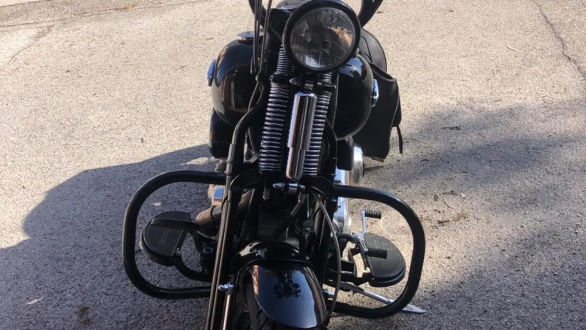 Harley-Davidson 1584 Cross Bones (2008 - 11) - FLSTSB  (19)