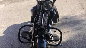 Harley-Davidson 1584 Cross Bones (2008 - 11) - FLSTSB  (19)