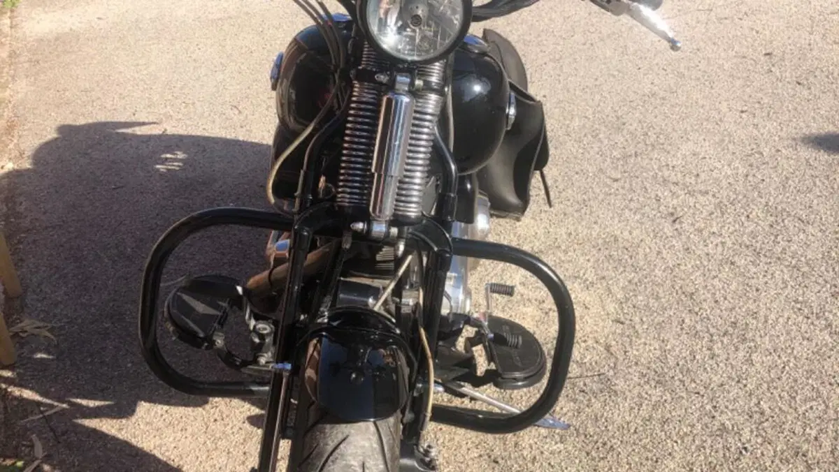Harley-Davidson 1584 Cross Bones (2008 - 11) - FLSTSB  (20)