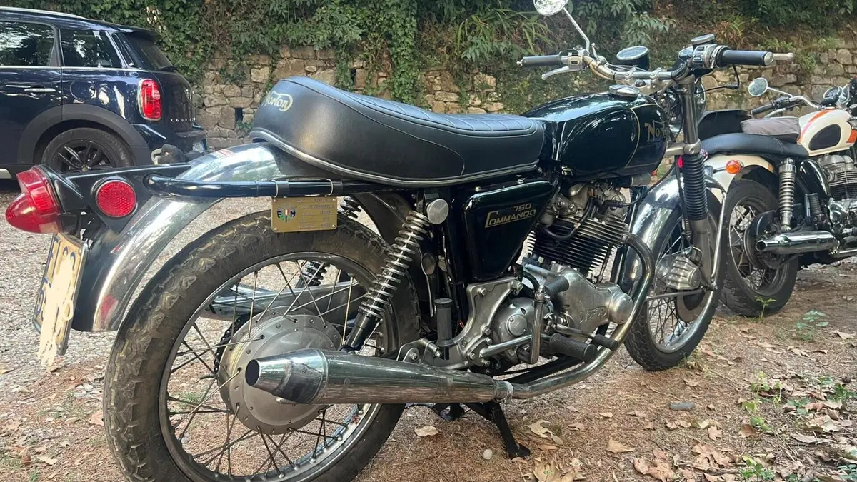 Norton   (2)