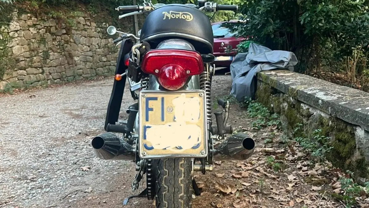 Norton   (3)
