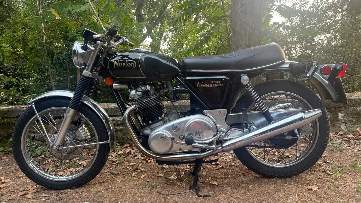 Norton   (4)
