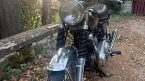 Norton   (5)