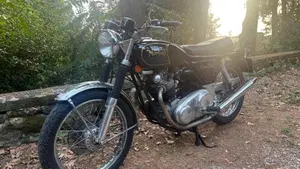 Norton   (6)