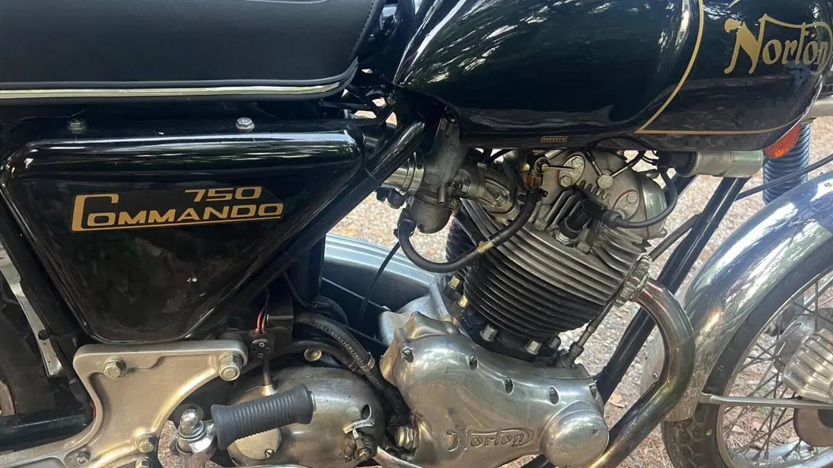 Norton   (7)