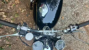 Norton   (10)