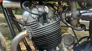 Norton   (14)