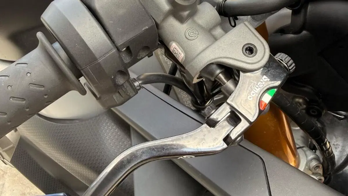 Aprilia RS 660 (2020 - 24)  (7)