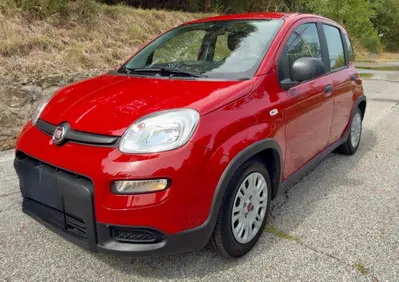 Fiat Panda 1.0 FireFly S&S Hybrid usata