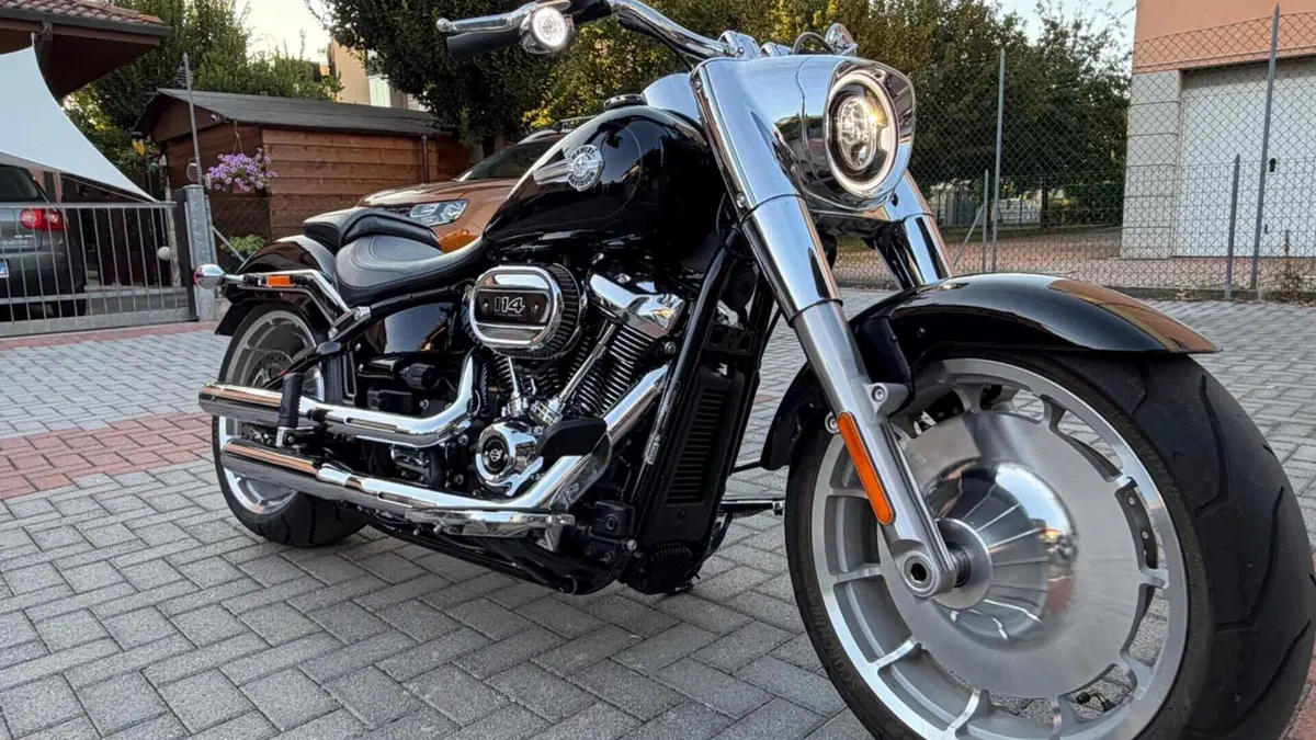 Harley-Davidson Fat Boy 114 (2021 - 24)  (7)