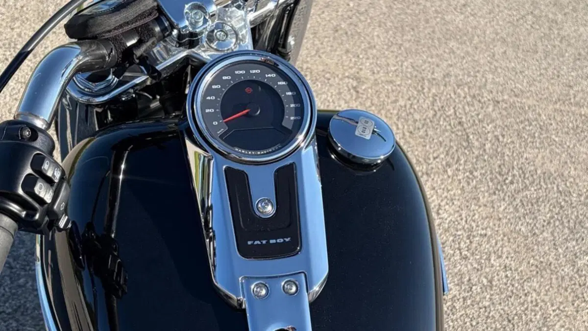 Harley-Davidson Fat Boy 114 (2021 - 24)  (18)