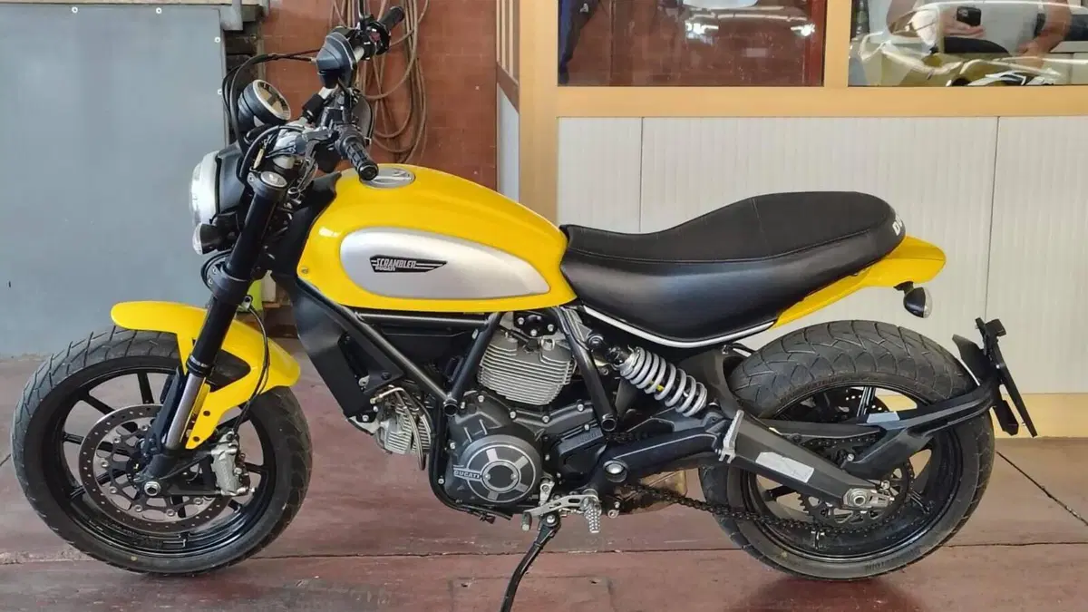 Ducati Scrambler 800 Icon (2015 - 16) 