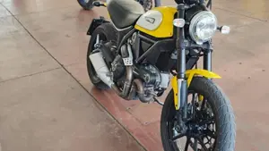 Ducati Scrambler 800 Icon (2015 - 16)  (5)