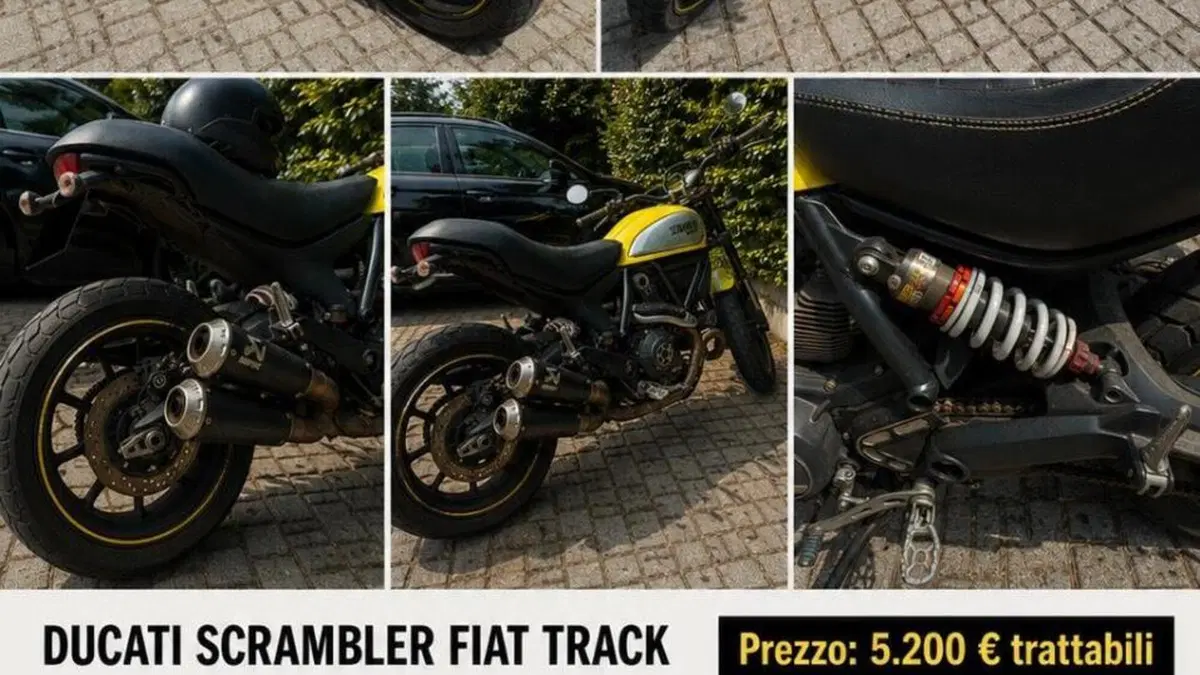Ducati Scrambler 800 Flat Track Pro (2016 - 17) 
