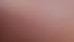 Ducati DesertX (2022 - 25)  (9)
