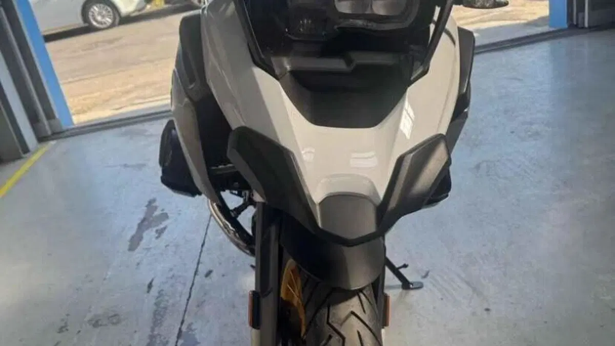 Bmw R 1250 GS (2019 - 20)  (6)