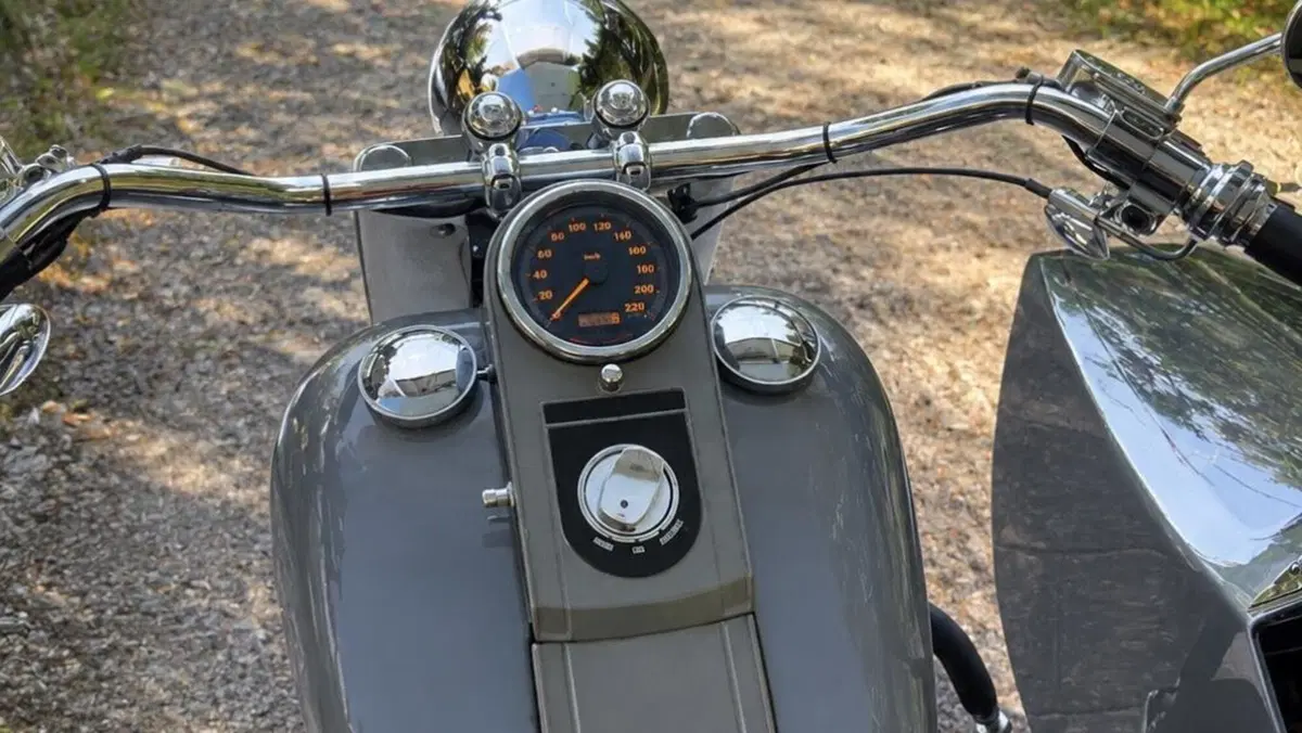 Harley-Davidson 1340 Heritage Special (1993 - 96)  (7)