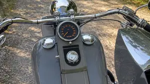 Harley-Davidson 1340 Heritage Special (1993 - 96)  (7)