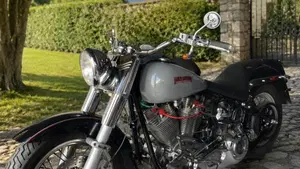 Harley-Davidson 1340 Heritage Special (1993 - 96)  (8)
