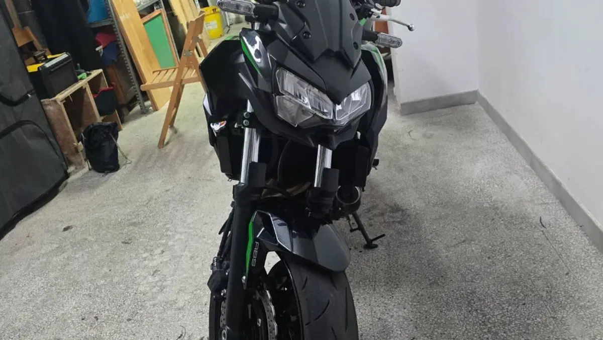 Kawasaki Z 650 (2025 - 26)  (2)