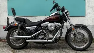 Harley-Davidson   (10)