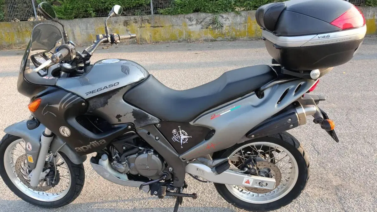Aprilia Pegaso 650 IE (2003 - 04)  (6)