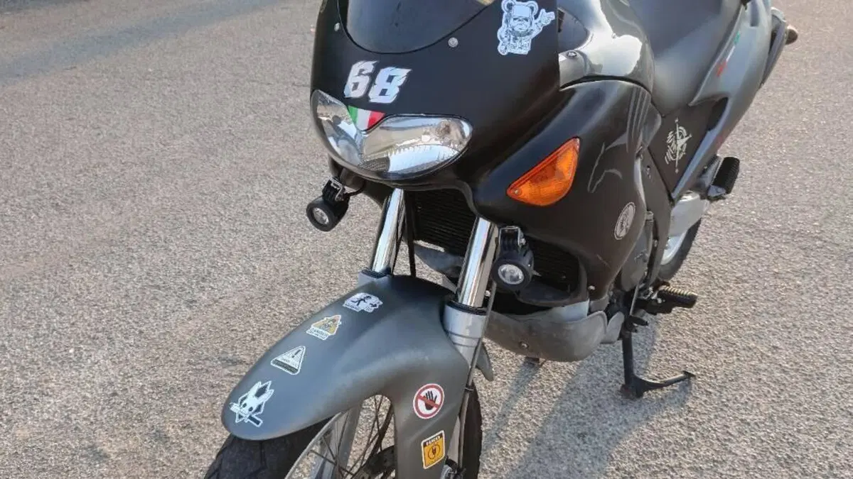 Aprilia Pegaso 650 IE (2003 - 04)  (8)